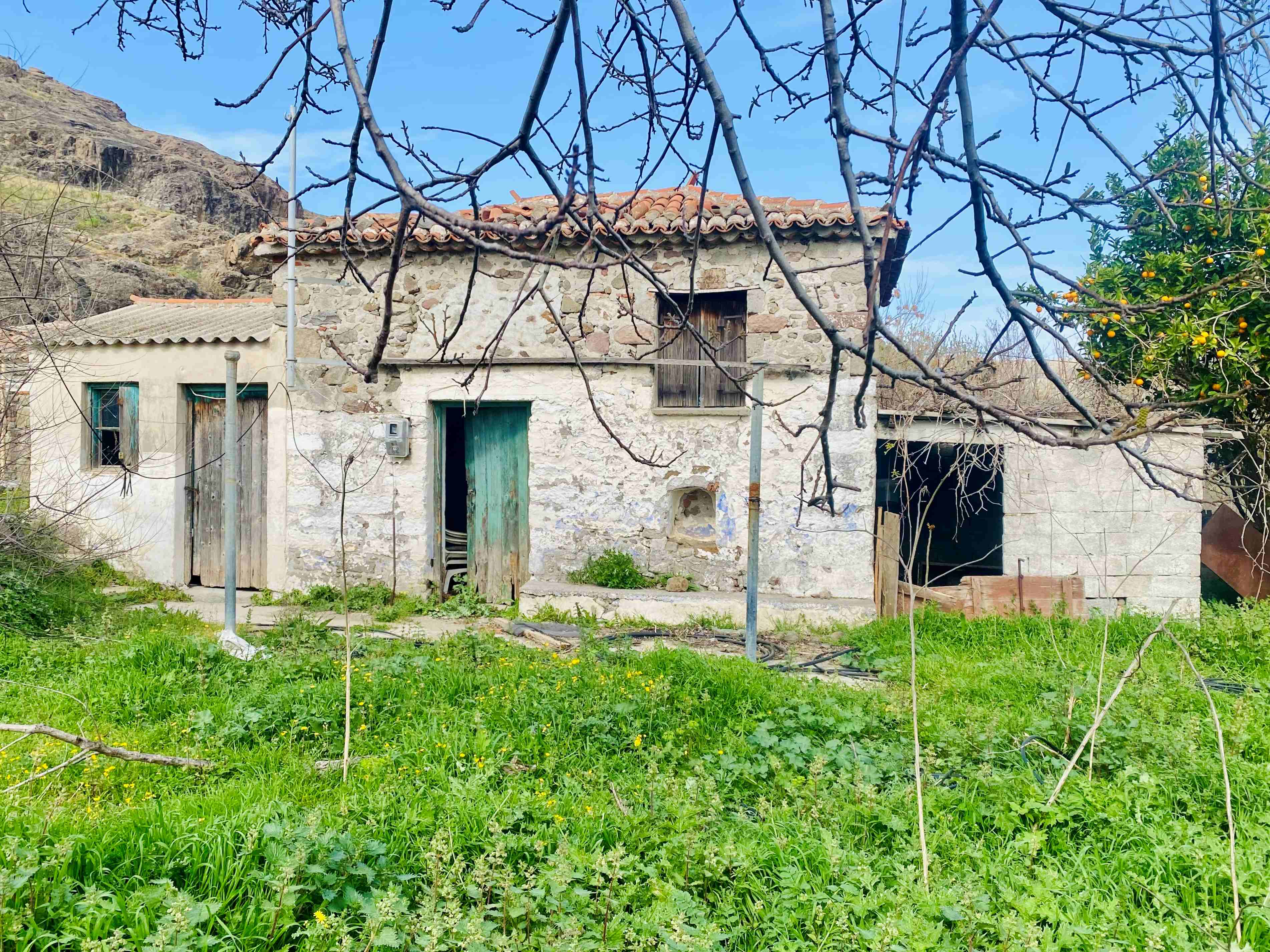 Eressos, Lesvos Island 81105, ,House and Land,For Sale,1295