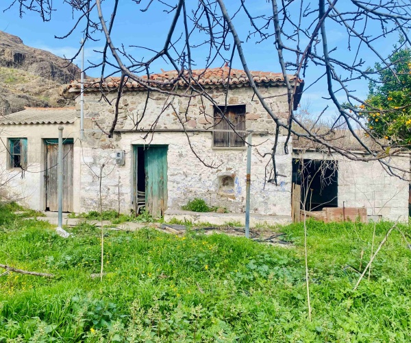 Eressos, Lesvos Island 81105, ,House and Land,For Sale,1295