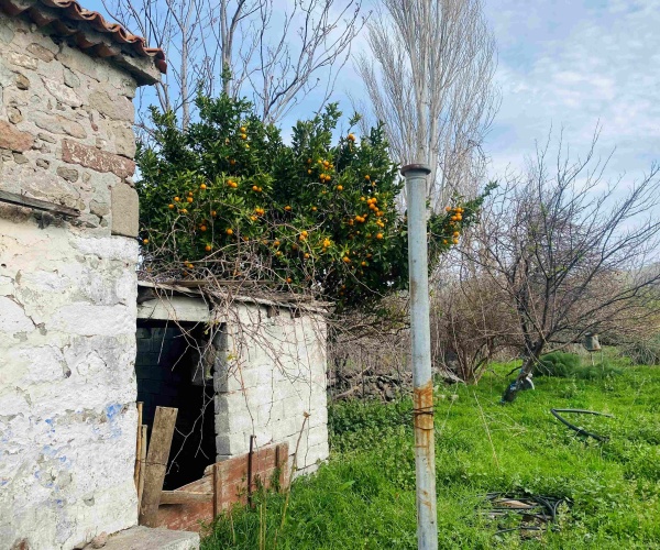 Eressos, Lesvos Island 81105, ,House and Land,For Sale,1295