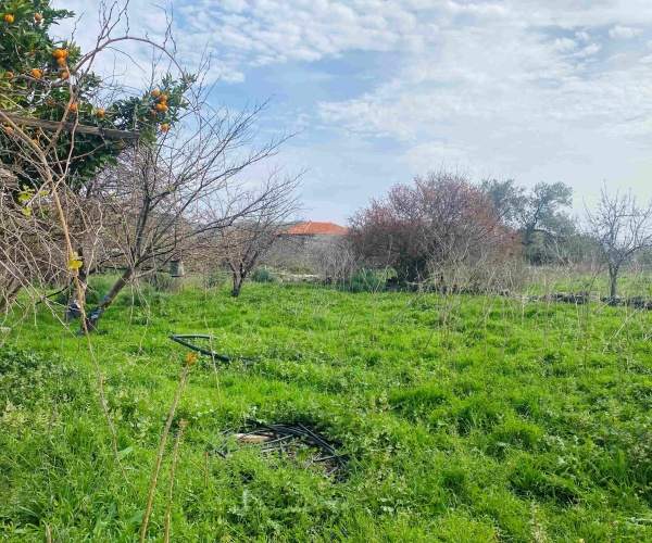Eressos, Lesvos Island 81105, ,House and Land,For Sale,1295