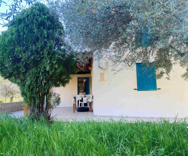 Eressos, Lesvos Island 81105, 1 Bedroom Bedrooms, ,1 BathroomBathrooms,House and Land,For Sale,1296