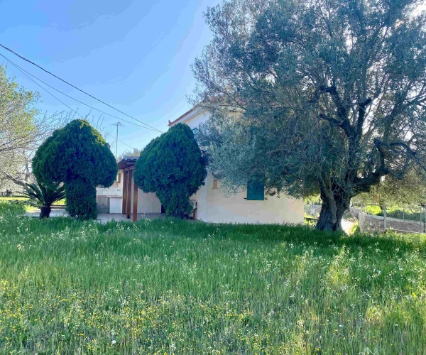 Eressos, Lesvos Island 81105, 1 Bedroom Bedrooms, ,1 BathroomBathrooms,House and Land,For Sale,1296