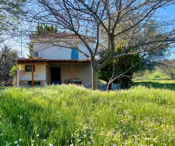Eressos, Lesvos Island 81105, 1 Bedroom Bedrooms, ,1 BathroomBathrooms,House and Land,For Sale,1296