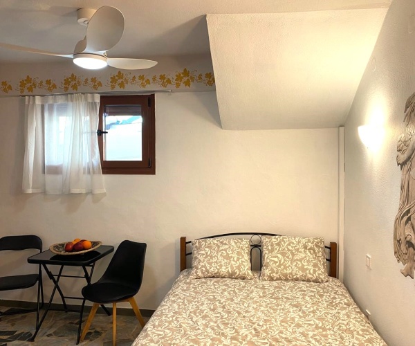 Skala Eressos, Lesvos Island 81105, 1 Bedroom Bedrooms, ,1 BathroomBathrooms,Studio,For Rent,1297