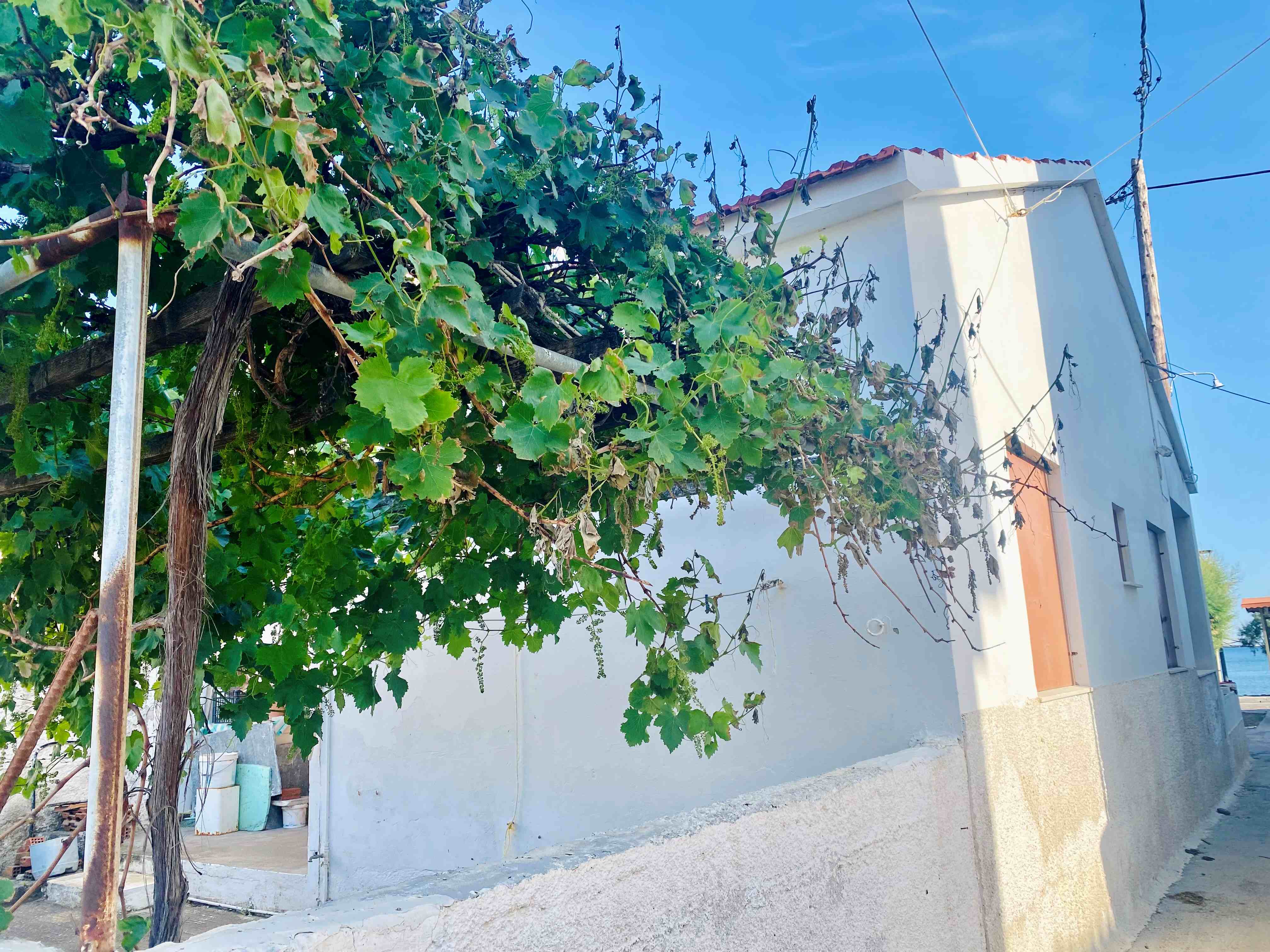 Tavari, Lesvos Island 81105, 2 Bedrooms Bedrooms, ,1 BathroomBathrooms,House,For Sale,1299