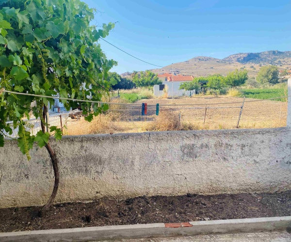 Tavari, Lesvos Island 81105, 2 Bedrooms Bedrooms, ,1 BathroomBathrooms,House,For Sale,1299
