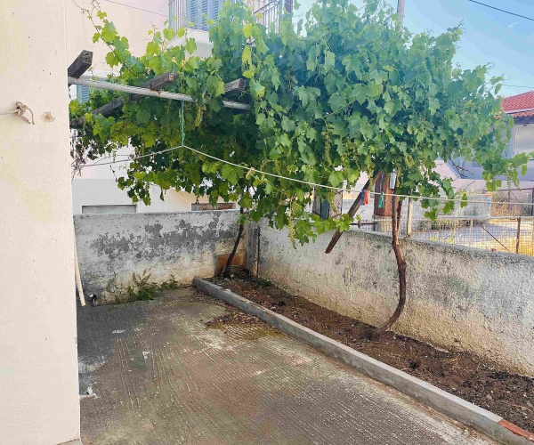 Tavari, Lesvos Island 81105, 2 Bedrooms Bedrooms, ,1 BathroomBathrooms,House,For Sale,1299