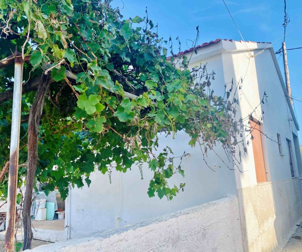 TAV   0009 FULL SEA VIEW House for sale in Tavari
