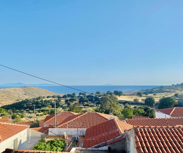 Mesotopos, Lesvos Island 81105, 3 Bedrooms Bedrooms, ,2 BathroomsBathrooms,House,For Sale,1300