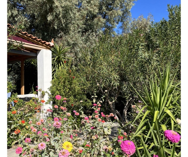 Skala Eressos, Lesvos Island 81105, 3 Bedrooms Bedrooms, 0 ,2 BathroomsBathrooms,House,For Sale,0,1306