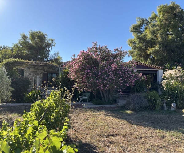 Skala Eressos, Lesvos Island 81105, 3 Bedrooms Bedrooms, 0 ,2 BathroomsBathrooms,House,For Sale,0,1306