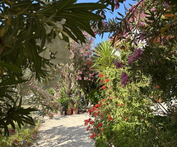 Skala Eressos, Lesvos Island 81105, 3 Bedrooms Bedrooms, 0 ,2 BathroomsBathrooms,House,For Sale,0,1306