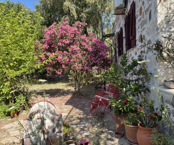 Skala Eressos, Lesvos Island 81105, 3 Bedrooms Bedrooms, 0 ,2 BathroomsBathrooms,House,For Sale,0,1306