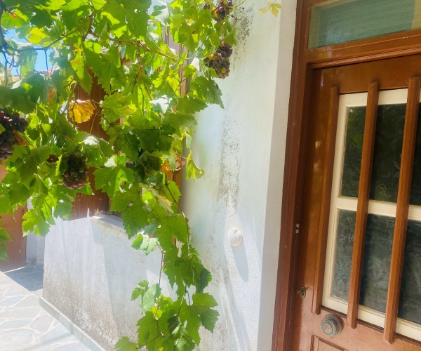 Eressos, Lesvos Island 81105, 2 Bedrooms Bedrooms, 0 ,1 BathroomBathrooms,House,For Sale,0,1307