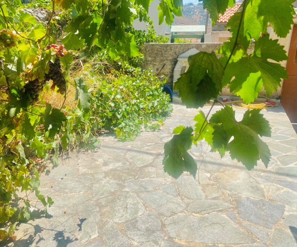 Eressos, Lesvos Island 81105, 2 Bedrooms Bedrooms, 0 ,1 BathroomBathrooms,House,For Sale,0,1307