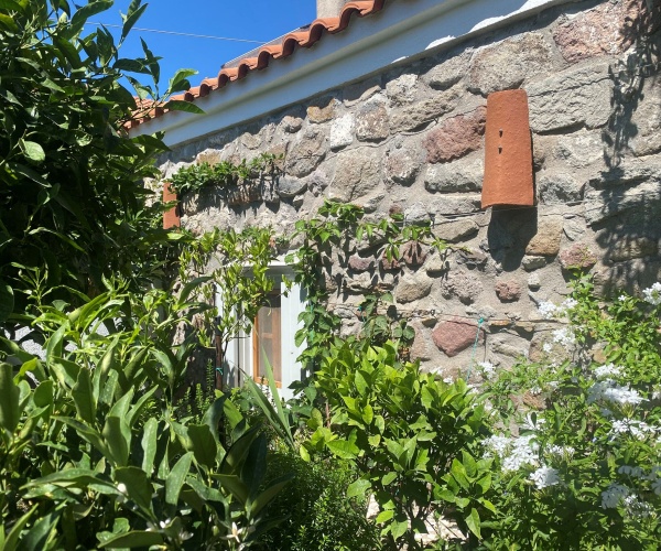 Eressos, Lesvos Island 81105, 3 Bedrooms Bedrooms, 0 ,2 BathroomsBathrooms,House,For Sale,0,1308