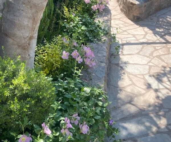 Eressos, Lesvos Island 81105, 3 Bedrooms Bedrooms, 0 ,2 BathroomsBathrooms,House,For Sale,0,1308
