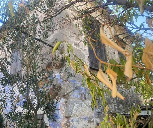 ERE 0237 House for sale in Eressos Village