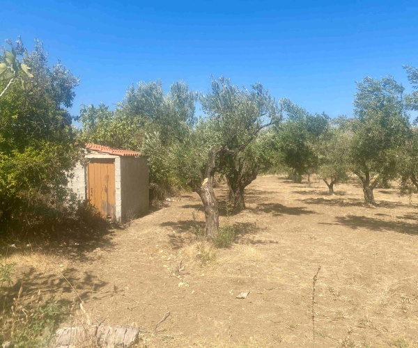 Kampos Eressos, Lesvos Island 81105, 1 Bedroom Bedrooms, 0 ,1 BathroomBathrooms,House,For Sale,0,1310