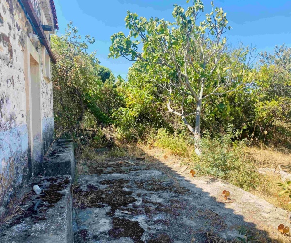 Kampos Eressos, Lesvos Island 81105, 1 Bedroom Bedrooms, 0 ,1 BathroomBathrooms,House,For Sale,0,1310