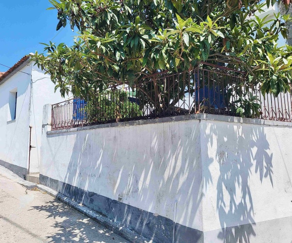 ERE  0244 House for sale in Eressos village