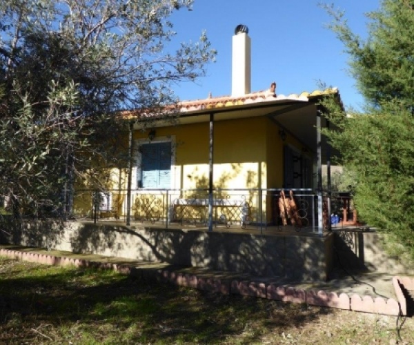 Eressos, Lesvos Island 81105, 3 Bedrooms Bedrooms, ,2 BathroomsBathrooms,House,For Sale,1037