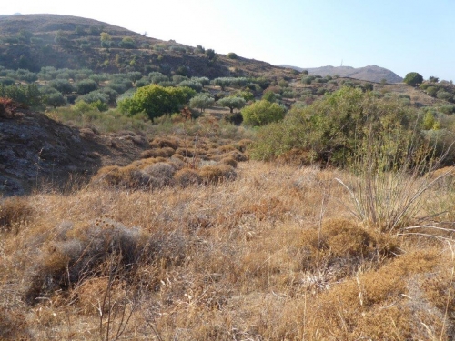 Kampos Eressos, Lesvos Island 81105, ,Land Plot,For Sale,1038