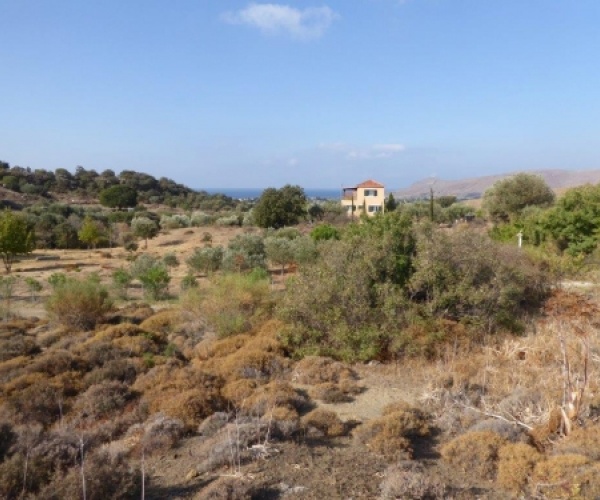 Kampos Eressos, Lesvos Island 81105, ,Land Plot,For Sale,1038