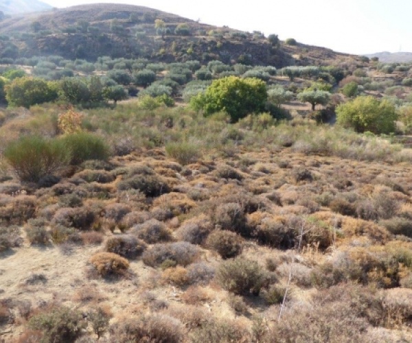 Kampos Eressos, Lesvos Island 81105, ,Land Plot,For Sale,1038