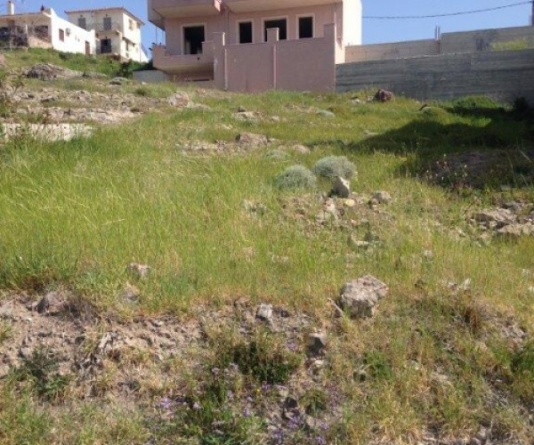 Sigri, Lesvos Island 81103, ,Land Plot,For Sale,1039