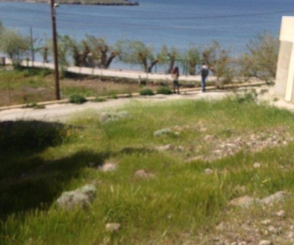 Sigri, Lesvos Island 81103, ,Land Plot,For Sale,1039