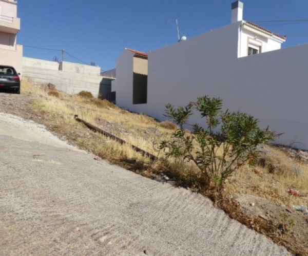 Sigri, Lesvos Island 81103, ,Land Plot,For Sale,1039