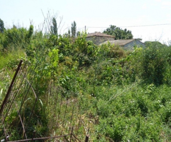 Skala Eressos, Lesvos Island 81105, ,Land Plot,For Sale,1004