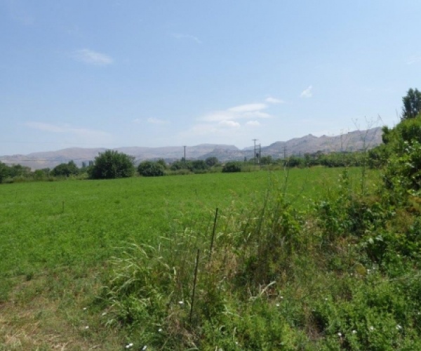 Skala Eressos, Lesvos Island 81105, ,Land Plot,For Sale,1004