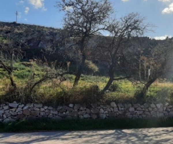 Sigri, Lesvos Island 81103, ,Land Plot,For Sale,1050