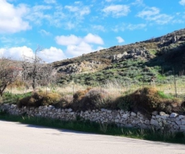 Sigri, Lesvos Island 81103, ,Land Plot,For Sale,1050