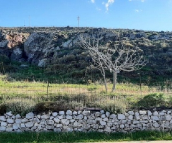 Sigri, Lesvos Island 81103, ,Land Plot,For Sale,1050