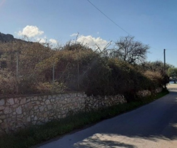 Sigri, Lesvos Island 81103, ,Land Plot,For Sale,1050