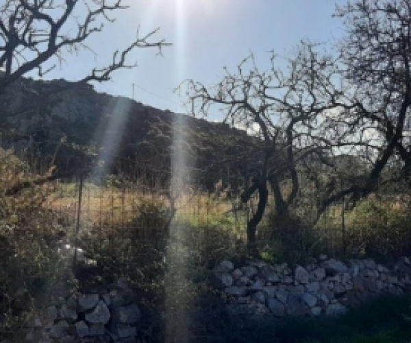 Sigri, Lesvos Island 81103, ,Land Plot,For Sale,1050