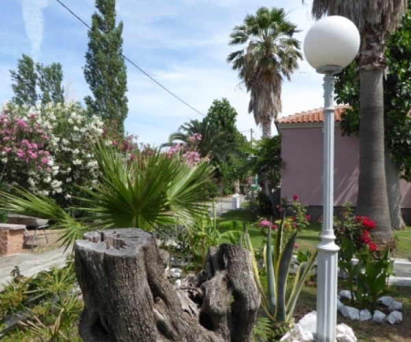 Skala Eressos, Lesvos Island 81105, 6 Bedrooms Bedrooms, ,Business,For Sale,1051