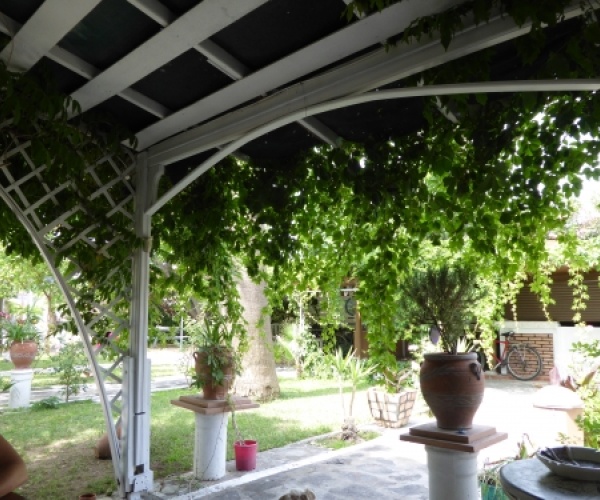 Skala Eressos, Lesvos Island 81105, 6 Bedrooms Bedrooms, ,Business,For Sale,1051