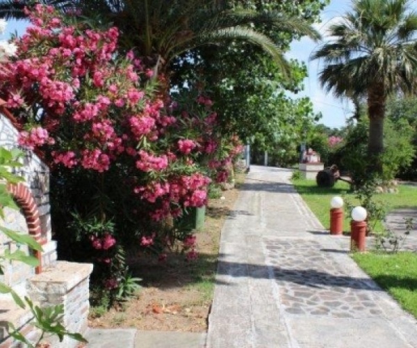 Skala Eressos, Lesvos Island 81105, 6 Bedrooms Bedrooms, ,Business,For Sale,1051