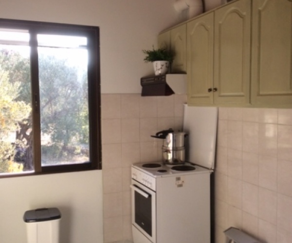 Gavathas, Lesvos Island 81103, 2 Bedrooms Bedrooms, ,1 BathroomBathrooms,House and Land,For Sale,1054