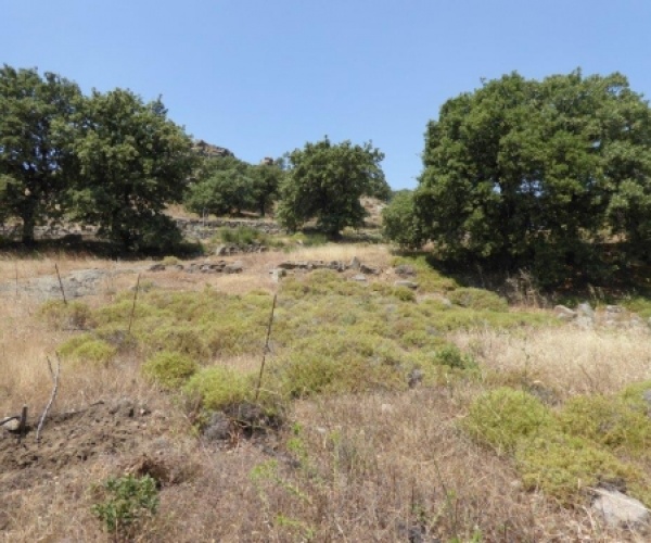 Eressos, Lesvos Island 81105, ,Land Plot,For Sale,1058