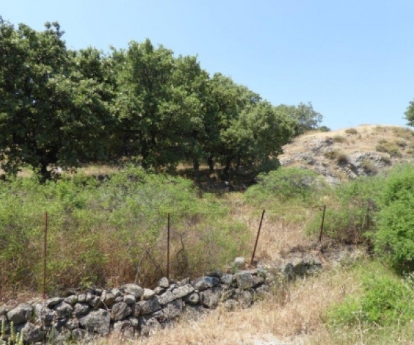 Eressos, Lesvos Island 81105, ,Land Plot,For Sale,1058