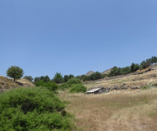 Eressos, Lesvos Island 81105, ,Land Plot,For Sale,1058