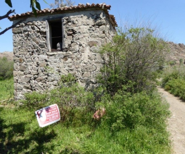 Skala Eressos, Lesvos Island 81105, ,House and Land,For Sale,1060