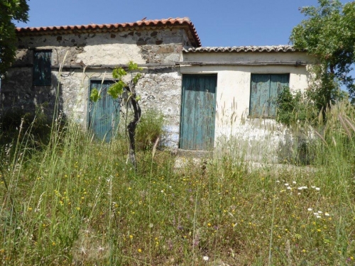 Kampos Eressos, Lesvos Island 81105, ,House and Land,For Sale,1006