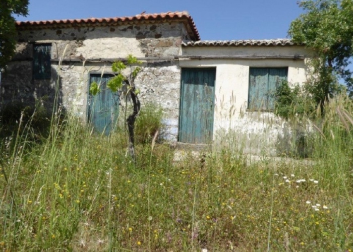 Kampos Eressos, Lesvos Island 81105, ,House and Land,For Sale,1006