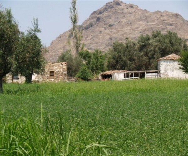 Kampos Eressos, Lesvos Island 81105, ,Land Plot,For Sale,1073